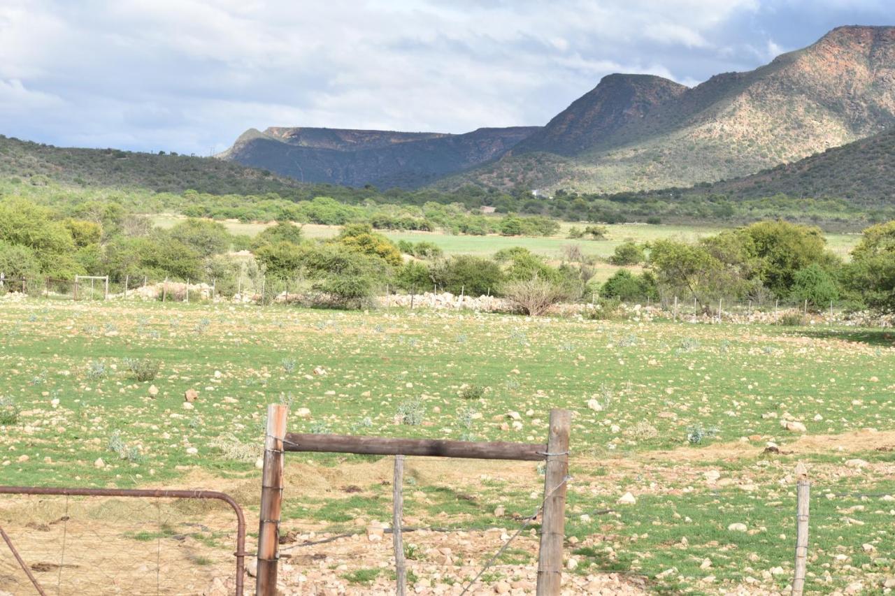 Baviaanskloof Guest Cottages Studtis Экстерьер фото